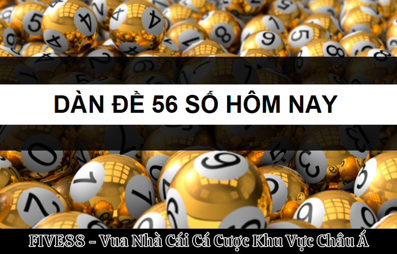 Nuôi dàn đề 56 con trong 7 ngày